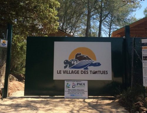 Le villages des tortues à Carnoulles – Installation d’une micro-station avec drenotube® pour 100 EH